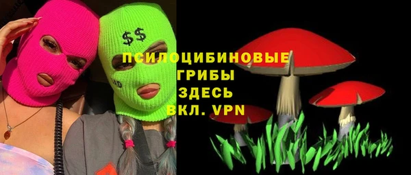 гидра Абинск