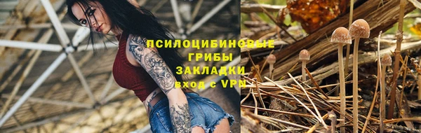гидропоника Алзамай