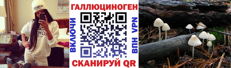 Псилоцибиновые грибы прущие грибы  площадка официальный сайт  Калачинск 