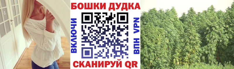 Каннабис гибрид Калачинск